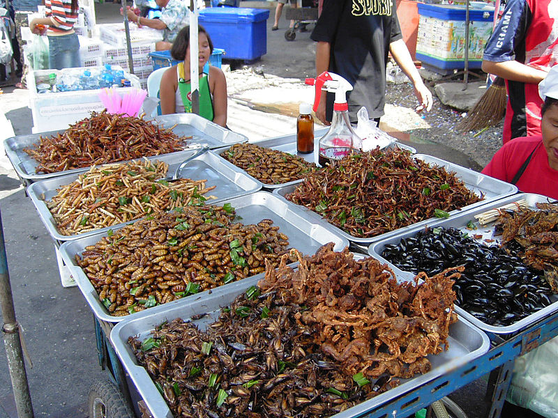 800px-Insect_food_stall.jpg