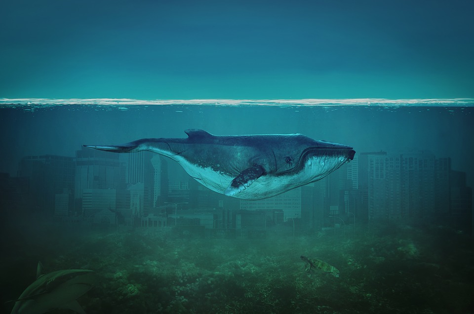Painting_of_Dark_Blue_Whale_in_Ocean_Game.jpg