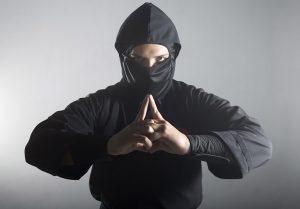 ninja-1529359142997-300x209.jpg