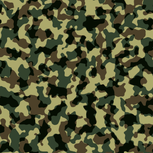 Camouflage_pattern_texture-300x300.png