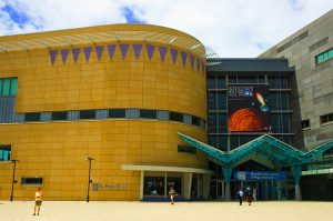 Wellington_Te_Papa_n-300x199.jpg