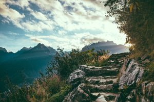 ashim-d-silva-100979-unsplash-300x200.jpg