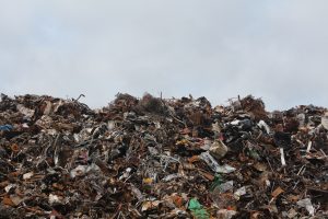 disposal-1846033-300x200.jpg
