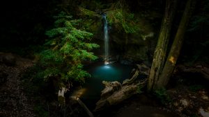 wilson-ye-128679-unsplash-300x169.jpg