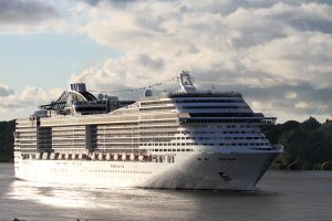 msc-2786630-300x200.jpg