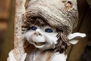 elf-596155-1-300x200.jpg