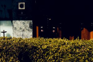 simone-scarano-1382294-unsplash-300x200.jpg