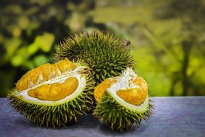 durian-3597242-300x200.jpg