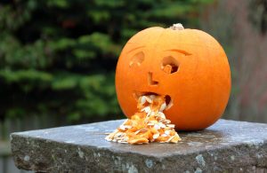 pumpkin-3630614_1920-300x195.jpg