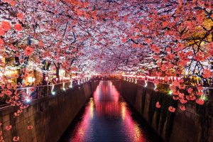 sora-sagano-8sOZJ8JF0S8-unsplash-300x200.jpg