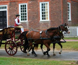 horses-65610-300x251.jpg
