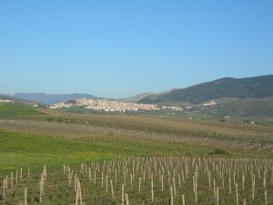 Sambuca_di_Sicilia-300x225.jpg