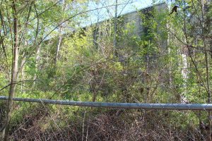 Abandoned_GNAL_bulding_Dawson_Forest-300x200.jpg
