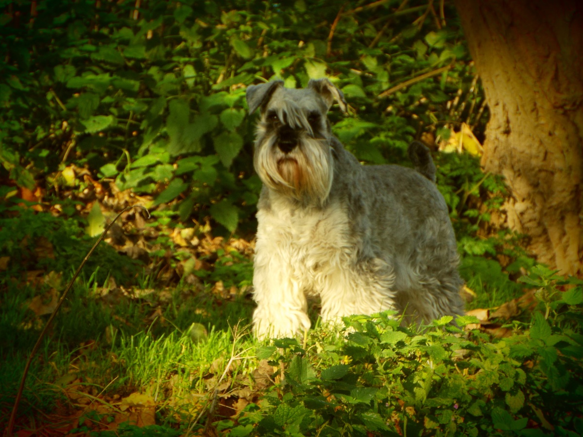 Creepy Experiences Facts